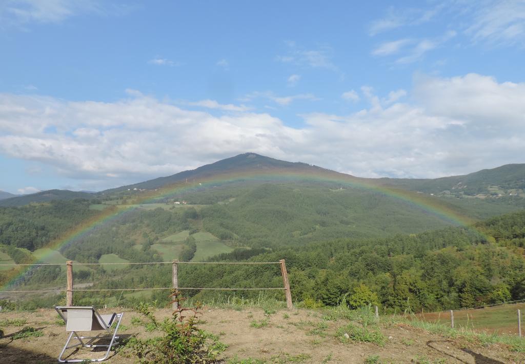 Societa Agricola Cacigolara *