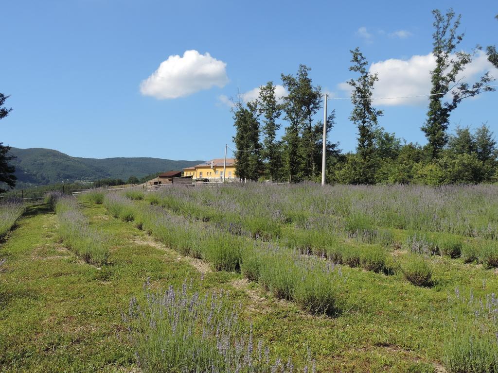 Agroturismo Societa Agricola Cacigolara *