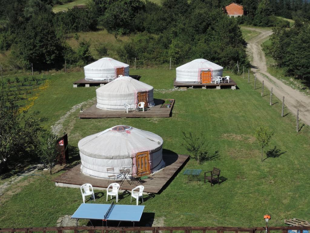 Societa Agricola Cacigolara *