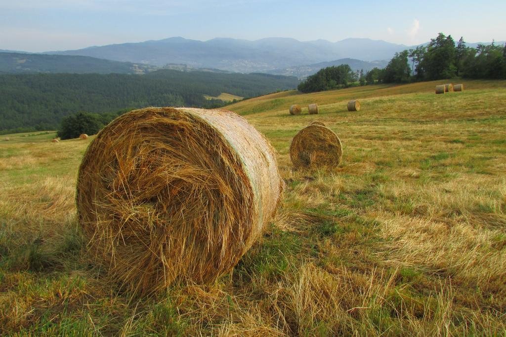 Bauernhof Societa Agricola Cacigolara